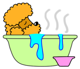 JIN-JIN Poodle Life (3rd) sticker #9471588