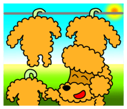 JIN-JIN Poodle Life (3rd) sticker #9471591