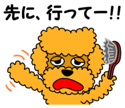 JIN-JIN Poodle Life (3rd) sticker #9471593