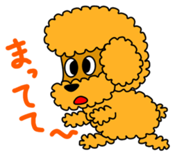 JIN-JIN Poodle Life (3rd) sticker #9471594