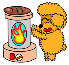 JIN-JIN Poodle Life (3rd) sticker #9471599