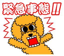 JIN-JIN Poodle Life (3rd) sticker #9471600