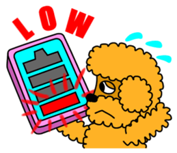 JIN-JIN Poodle Life (3rd) sticker #9471601