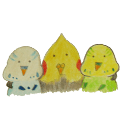 Cockatiel & Budgerigar (Hand-painted)