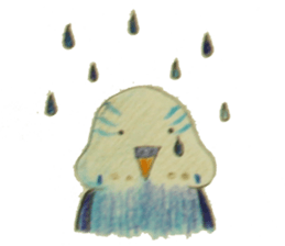 Cockatiel & Budgerigar (Hand-painted) sticker #9471904