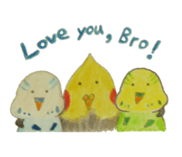 Cockatiel & Budgerigar (Hand-painted) sticker #9471927