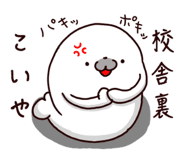 The smile of seal sticker #9473528