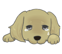 friendly cat&dog sticker #9474506