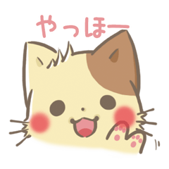 mild-fluffy-Munchkin