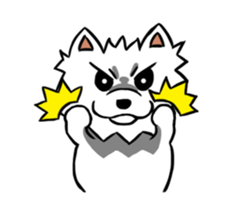 White Pomeranian enjoy life sticker #9477515