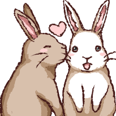 Cute warm fuzzy rabbit
