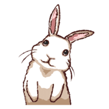 Cute warm fuzzy rabbit sticker #9477865