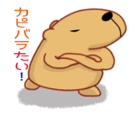 Kyapibara Kyushu valve sticker #9482543