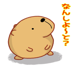 Kyapibara Kyushu valve sticker #9482545