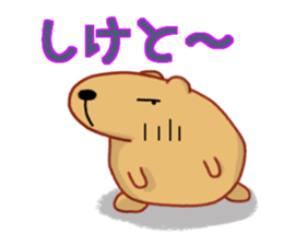 Kyapibara Kyushu valve sticker #9482570