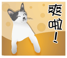 Omo star cat sticker #9483194