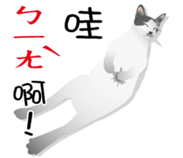 Omo star cat sticker #9483195