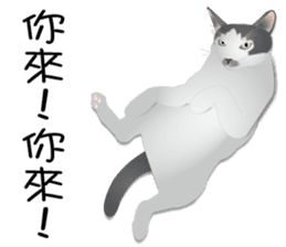 Omo star cat sticker #9483201