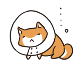 Japanese dog Shiba Inu ver.2 sticker #9483668