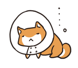 Japanese dog Shiba Inu ver.2 sticker #9483668