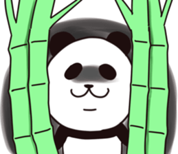 Panda Sticker. sticker #9484174