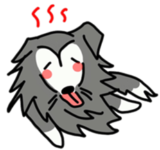 Naughty Sheltie PERCY sticker #9484200