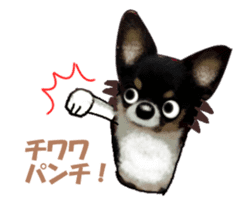 -Chihuahuas-Ver.4 sticker #9487217