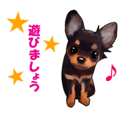 -Chihuahuas-Ver.4 sticker #9487219