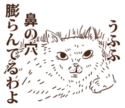 KAMA cats 2nd sticker #9488504