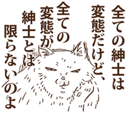 KAMA cats 2nd sticker #9488526