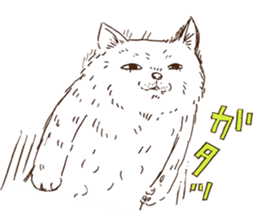 KAMA cats 2nd sticker #9488536