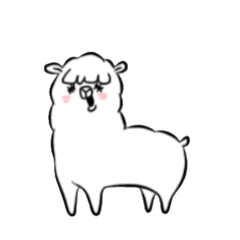 NOCHIPACA