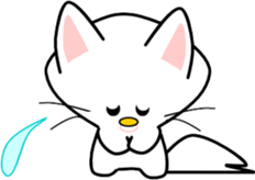 Bright white cat sticker #9491823
