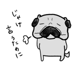 hiroshima pug sticker sticker #9491874