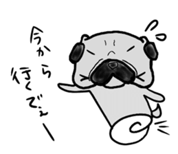 hiroshima pug sticker sticker #9491877