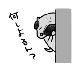 hiroshima pug sticker sticker #9491894