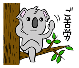 a  haughty koala sticker #9493149