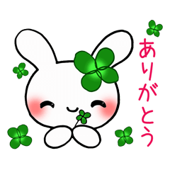 Happy Rabbit's daily life