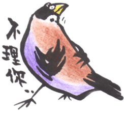 Sparrow SpeShow sticker #9498913