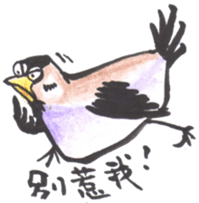 Sparrow SpeShow sticker #9498919