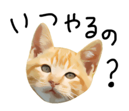 yurui tyatora&chashiro cat sticker #9499636