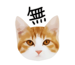 yurui tyatora&chashiro cat sticker #9499638