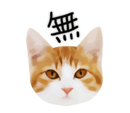yurui tyatora&chashiro cat sticker #9499638
