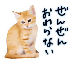 yurui tyatora&chashiro cat sticker #9499647