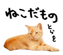 yurui tyatora&chashiro cat sticker #9499655