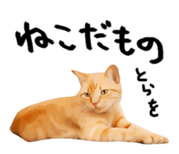 yurui tyatora&chashiro cat sticker #9499655