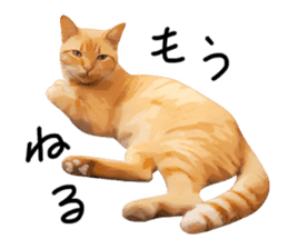 yurui tyatora&chashiro cat sticker #9499657