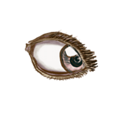 Talking Eyes sticker #9500348