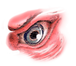 Talking Eyes sticker #9500354