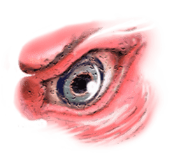 Talking Eyes sticker #9500354